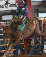 MensBroncRiding04.jpg