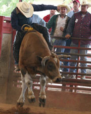 MensBullRiding03.jpg